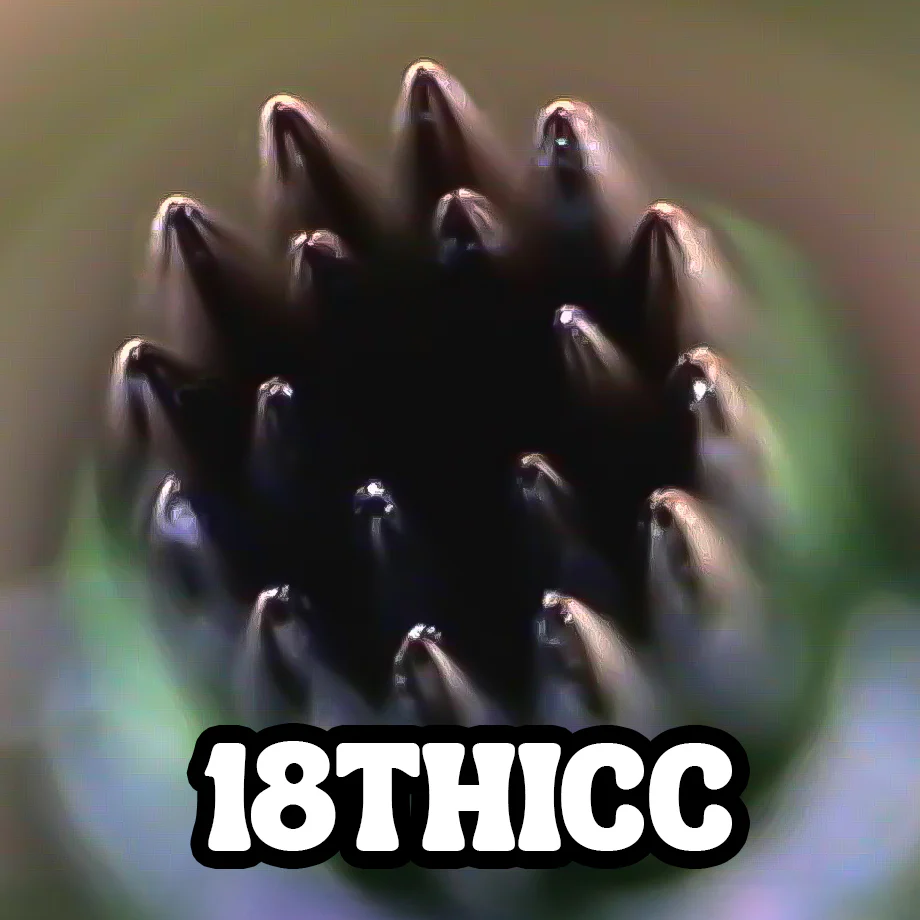 CREAM GREEN CARTRIDGES - Image 18